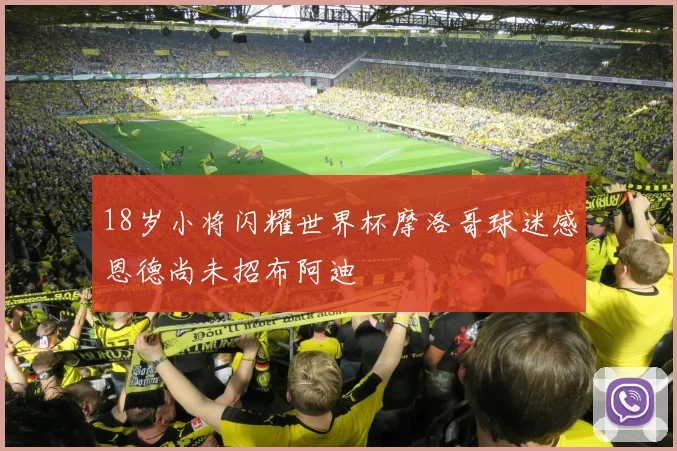 18岁小将闪耀世界杯摩洛哥球迷感恩德尚未招布阿迪